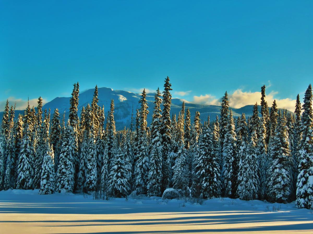 Rocky Ridge Resort-Bc Smithers Exterior photo